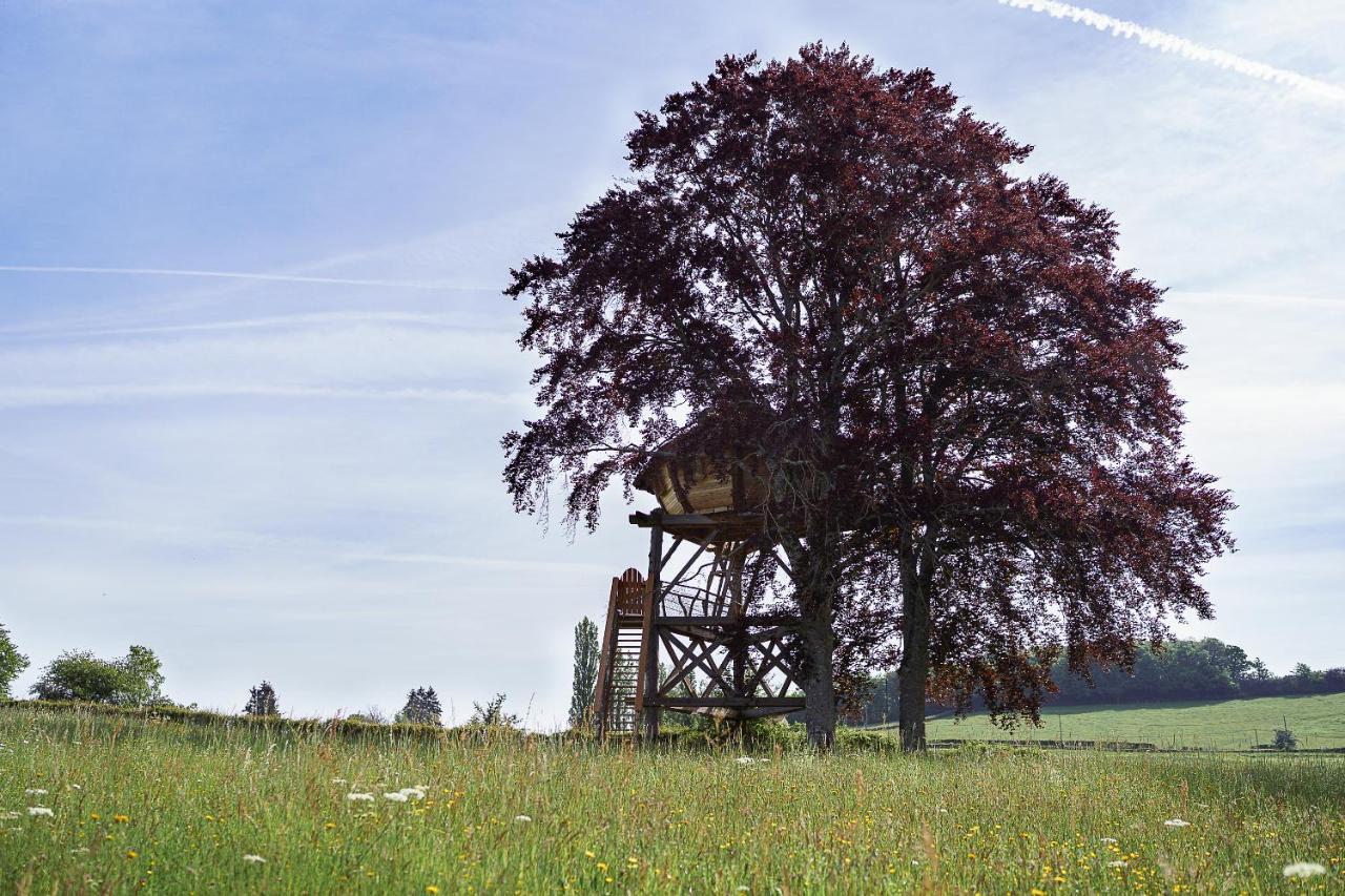 Cabane Perchee Dans Les Arbres Saint-Hilaire-en-Morvan Exterior foto