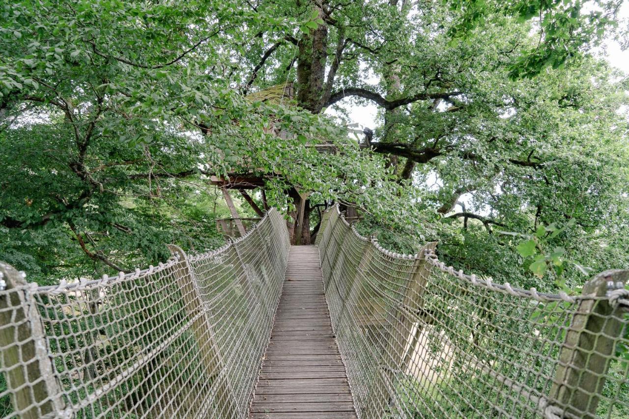 Cabane Perchee Dans Les Arbres Saint-Hilaire-en-Morvan Exterior foto
