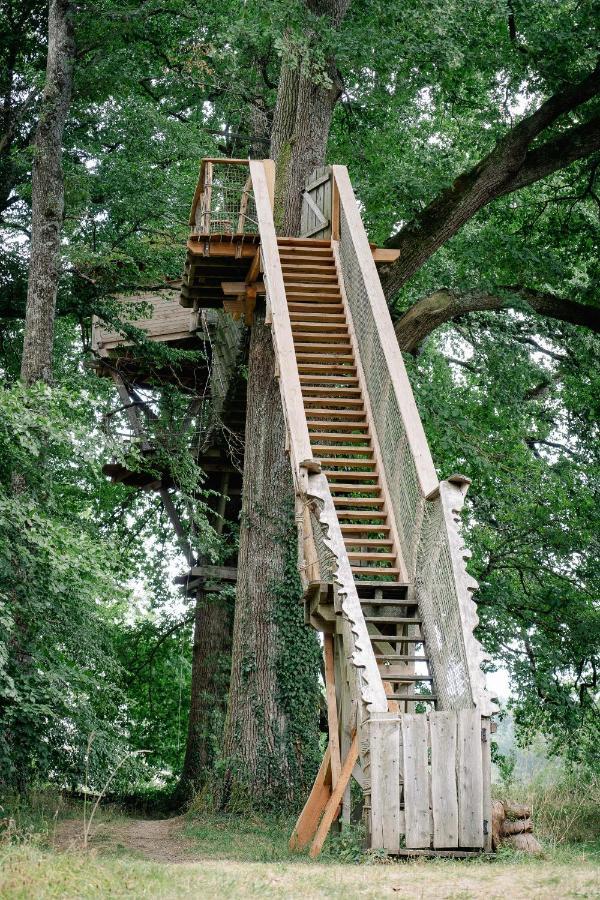 Cabane Perchee Dans Les Arbres Saint-Hilaire-en-Morvan Exterior foto